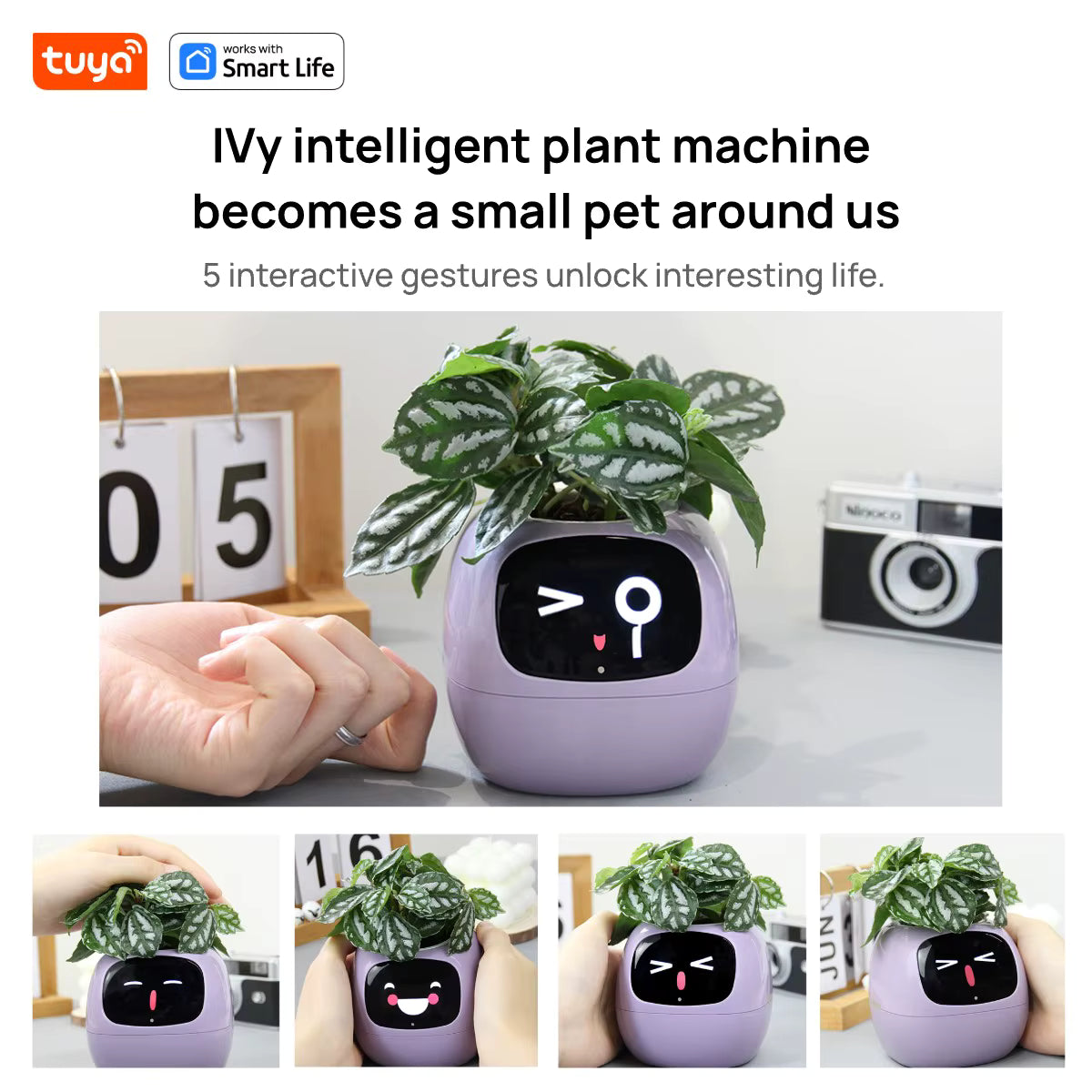 Ivy Intelligens önöntöző virágcserép