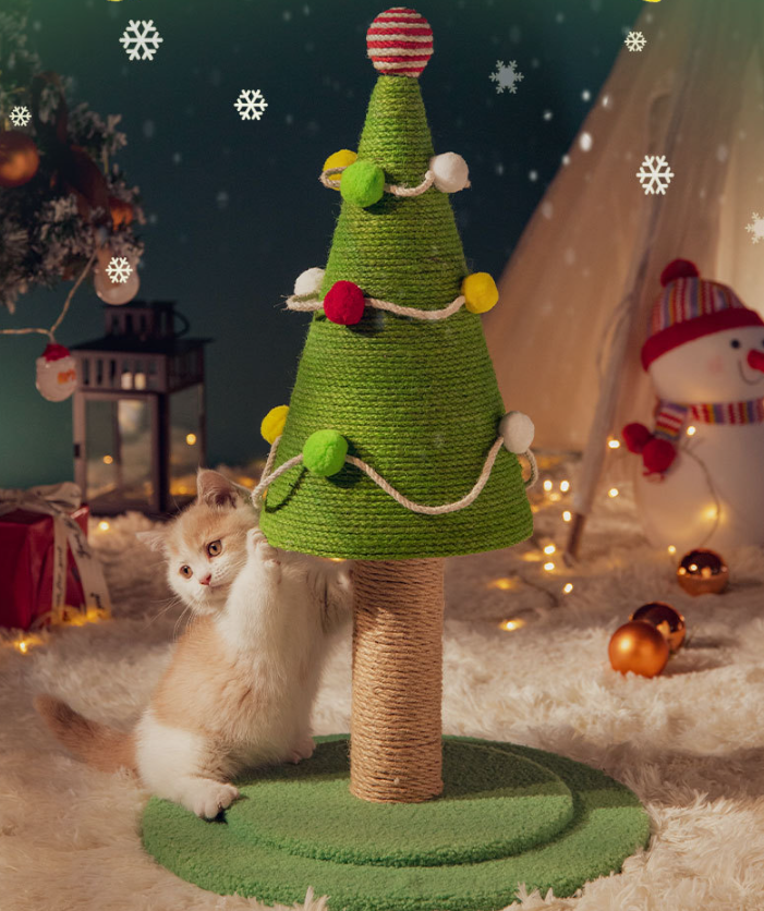 A legszebb ajándék, amit egy nő kaphat – és amit te adhatsz neki